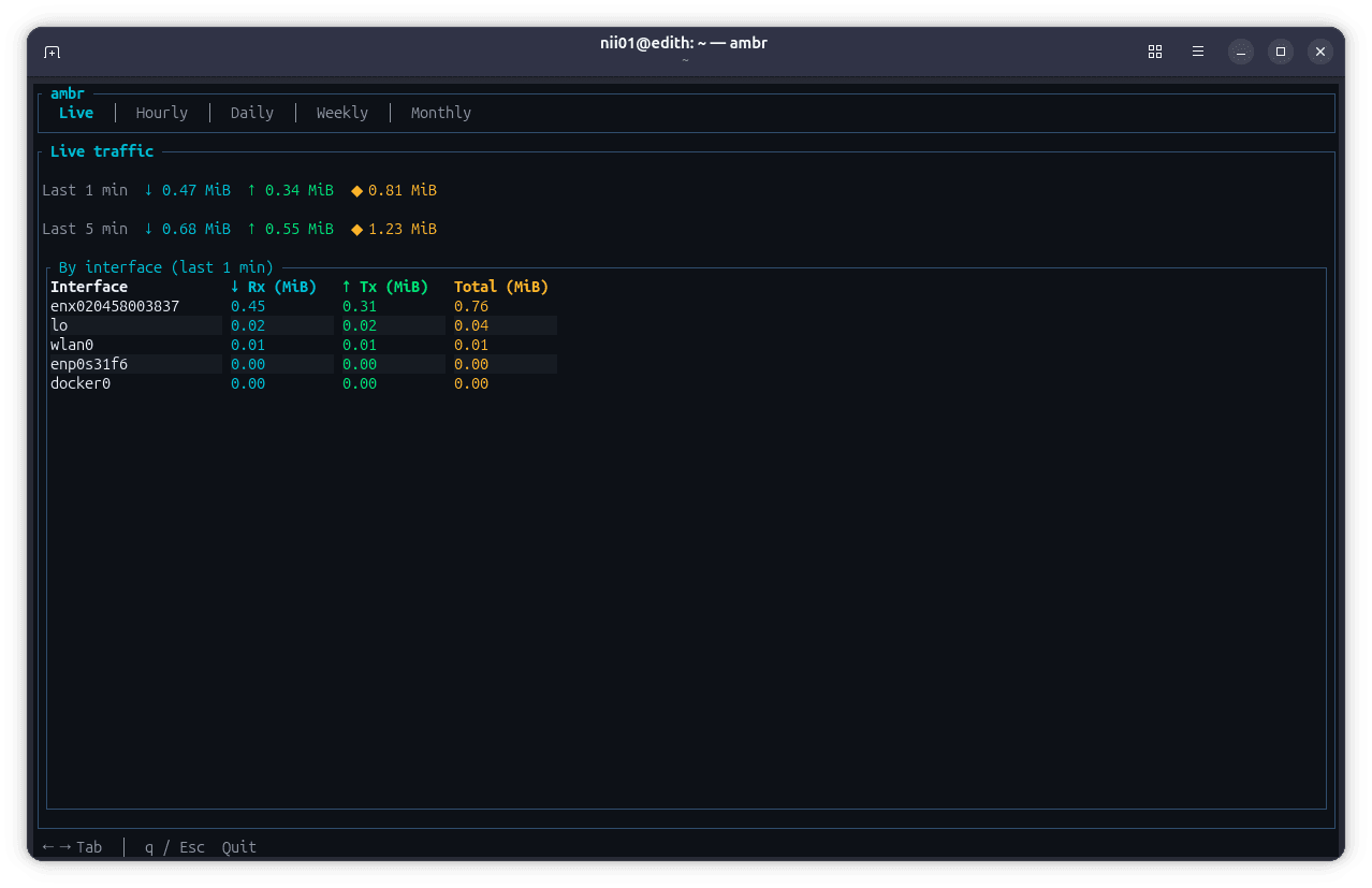 ambr terminal showing live network usage by process